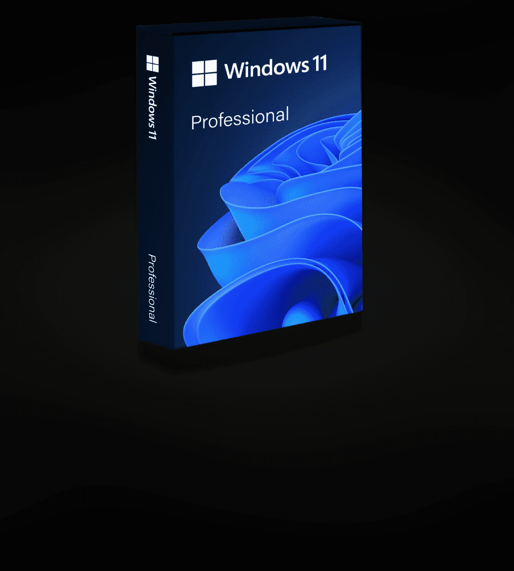 Windows 11 pro